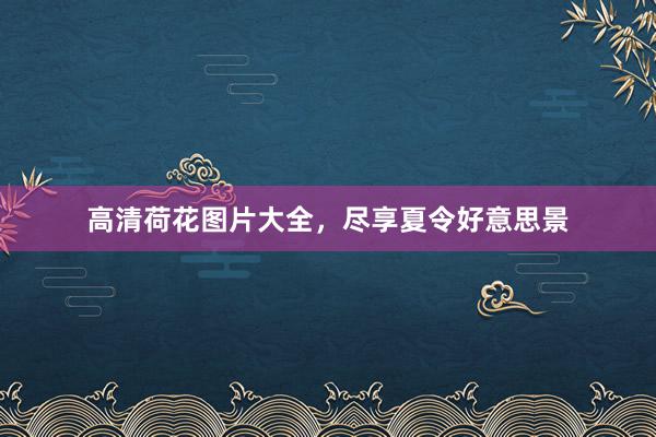 高清荷花图片大全,尽享夏令好意思景